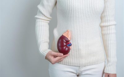 Przewlekła choroba nerek, jak dietą spowolnić postęp choroby