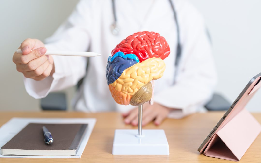 Dieta w&nbsp;chorobie Alzheimera – co&nbsp;jeść, aby wspierać mózg?