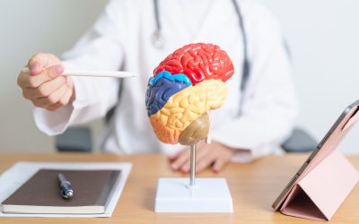 Dieta w&nbsp;chorobie Alzheimera – co&nbsp;jeść, aby wspierać mózg?